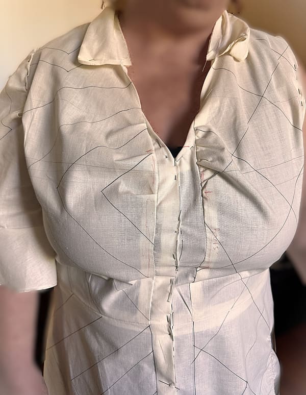 Calico Try-On 4